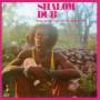 King Tubby And The Aggrovators - Shalom Dub
