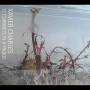 Xavier Charles - 12 Clarinets In A Fridge
