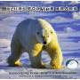Blues For The Bears - Blues For The Bears