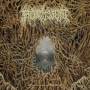 Mortiferum - Disgorged from Psychotic Depths (Black Vinyl)