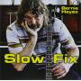 Bernie Hayes - Slow Fix
