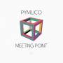 Pymlico - Meeting Point (Black Vinyl)