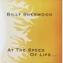 Billy Sherwood - At The Speed Of Life...