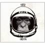 Torpedo - Terrastation