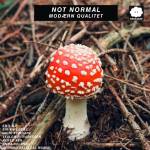 Not Normal - Modrn Qualitet