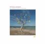 Raffaele Casarano - Ani (feat. Dhafer Youssef)