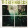 Steinbecks - Far From The Madding Crowd
