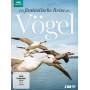 - - Die Fantastische Reise Der Vgel [EURO-Version, Regio 2]