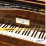 Natalia Rehling - Sonate 2/Preludes op.28