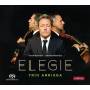 Trio Arriaga - Elegie
