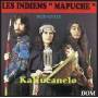 Kalfucanelo - Les Indiens Mapuche Du Sud Chili