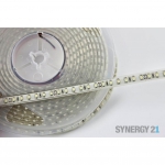 Synergy 21 Led - Flex Strip 3528 - 240 KW DC24V 96W IP68