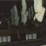 Jaws - The Ceiling
