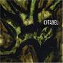 Citadel - Pluies Acides