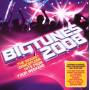 Various - Big Tunes 2008