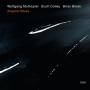 Wolfgang Muthspiel / Scott Colley / Brian Blade - Angular Blues