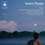 Amen Dunes - LOVE (Blue & White Marble Vinyl)