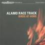 Alamo Race Track - Birds At Home