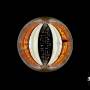 Alexi Tuomarila -Trio- - Sphere