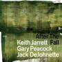 Keith Jarrett / Gary Peacock / Jack DeJohnette - ImportCDs After the Fall CD Jazz