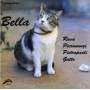 Rava / Pieranunzi / Piet - Bella