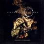 Pressure Points - Remourses To Remember