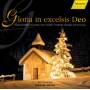 H. Rilling / Bach-Ensemble - Gloria In Excelsis Deo