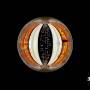 Alexi Tuomarila -Trio- - Sphere
