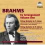 Zebra String Trio - BRAHMS by Arrangement Vol.1