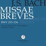 Chor Der J. S. Bach-Stiftung / Rudolf Lutz / Orcheste - Bach: Missae breves Lutherische Messen, BWV 233-