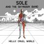 Sole & The Skyrider Band - Hello Cruel World