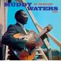 Muddy Waters - At Newport 1960+Sings Big Bill+6 Bonus Tracks