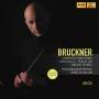 G. Schaller / Philharmonie Festiva - Bruckner Complete Symphonies