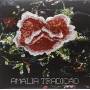 Amlia Rodrigues - Tradicao
