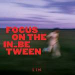 Lin - Focus On The In_Between (Re-Vinyl / Random Colour)