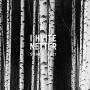 SyrinEnsemblet - I hvite netter