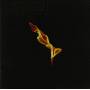 Turin Brakes - Dark On Fire