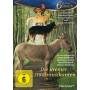 Anna Fischer / Johannes Zirner - Die Bremer Stadtmusikanten (DVD) [Regio free (0)]