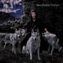 steve Hackett - Wolflight