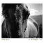 Capercaillie - At The Heart Of It All