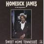 Homesick James & Hypnotic - Sweet Home Tennessee