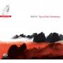 Central Music Academy Orchestra Of Plucked Instrum - Tug at China's Heartstrings