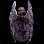 Deathspell Omega - Si Monumentum Requires,Circumspice