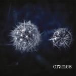 Cranes - Cranes