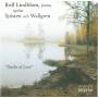 Rolf Lindblom - Tracks of Love