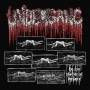 Undergang - De Syv Stadier Af Fordaerv (Jewel Case)