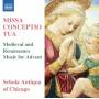 Schola Antiqua Of Chicago - Missa Conceptio Tua
