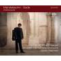 Irnberger / Salomon / Jerusalem Symphony Orchestra - Violinkonzerte