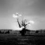 Kazuya Nagaya - Dream Interpretation-The Remixes