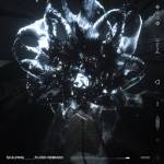 Scaler - Flood Remixed